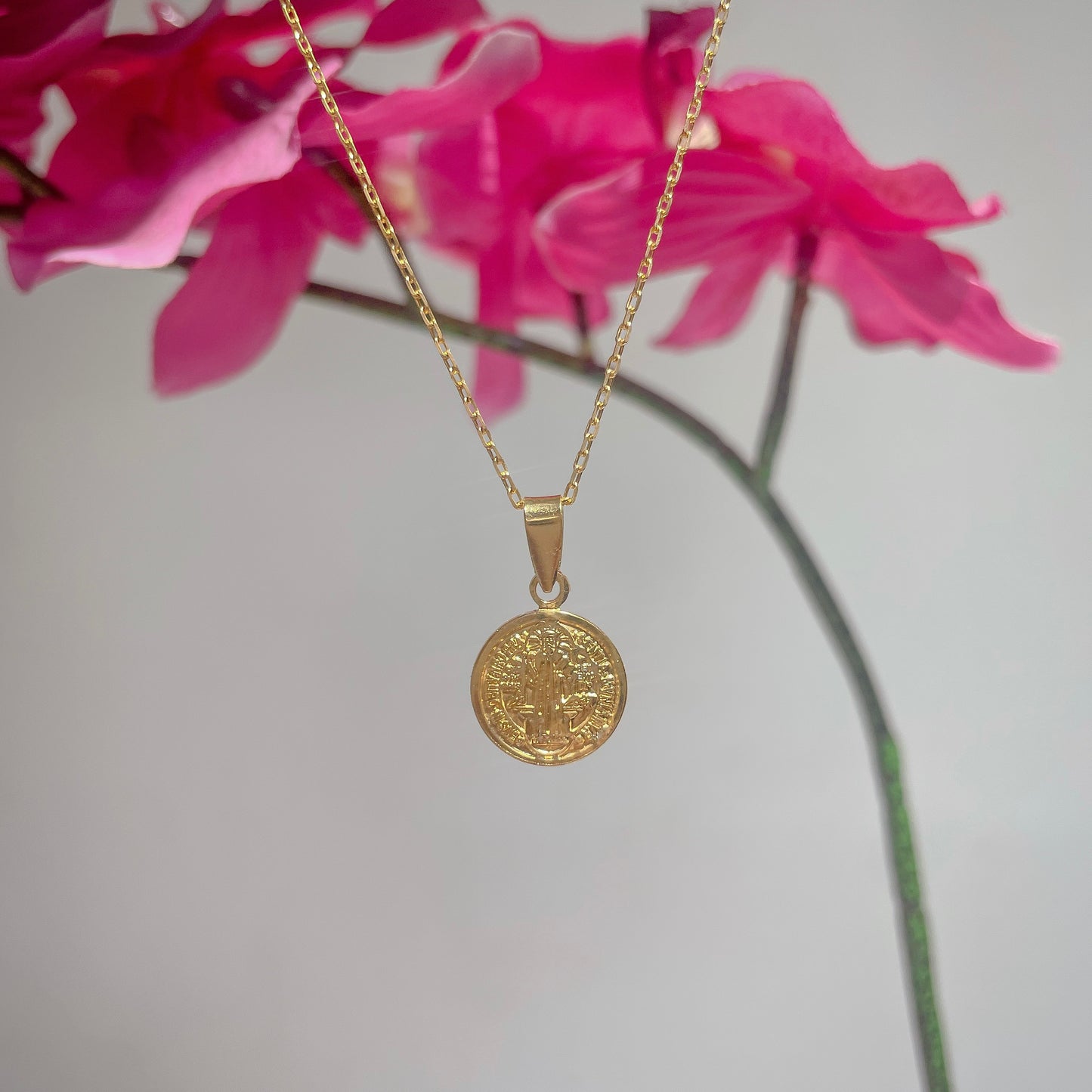 Cadena y dije San Benito