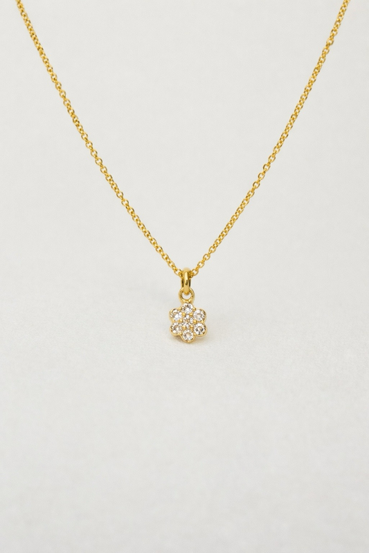 Cadena y dije Rosetta 7 circones